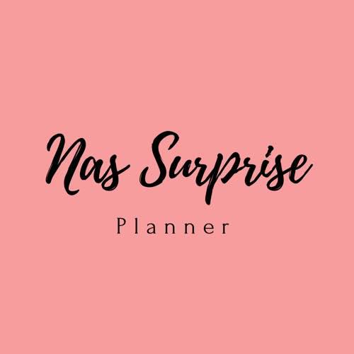 Surprise Planner